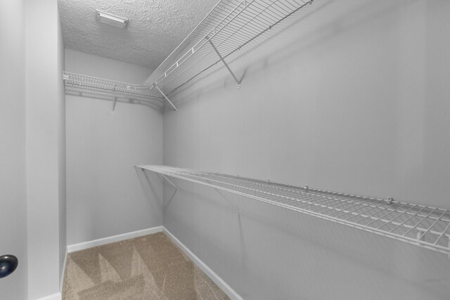 3182 Tristan Dr, Franklin, TN 37064 - spacious closet with carpet floors