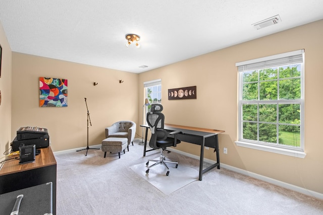 3182 Tristan Dr, Franklin, TN 37064 - home office featuring carpet and baseboards