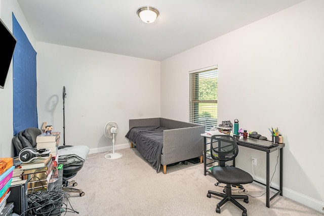 1717 Boardwalk Pl, Gallatin, TN 37066 - bedroom with carpet and baseboards