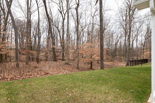 535 Ballard Dr, White House, TN 37188 - view of yard