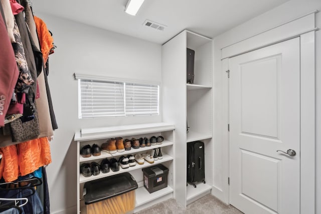 1151 Cotillion Dr, Murfreesboro, TN 37128 - walk in closet with carpet floors