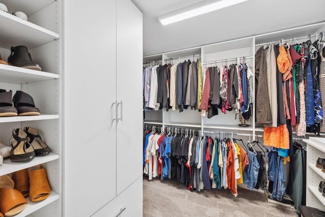 1151 Cotillion Dr, Murfreesboro, TN 37128 - walk in closet with carpet