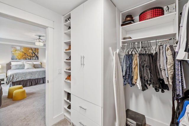 1151 Cotillion Dr, Murfreesboro, TN 37128 - view of closet
