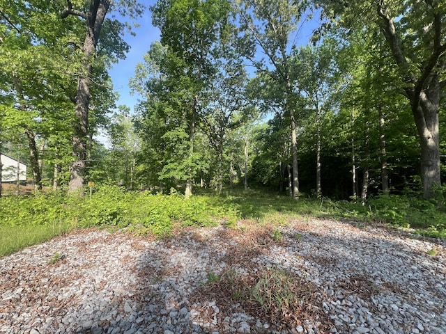 0 Maple Ave, Mayfield, KY 42066