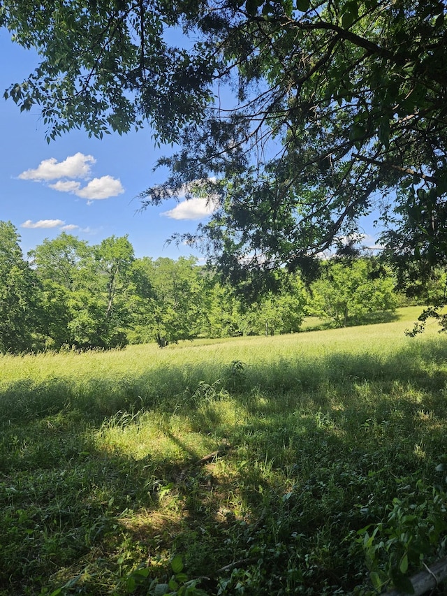 1375 Sherrilltown Rd, Watertown, TN 37184 - photo 6