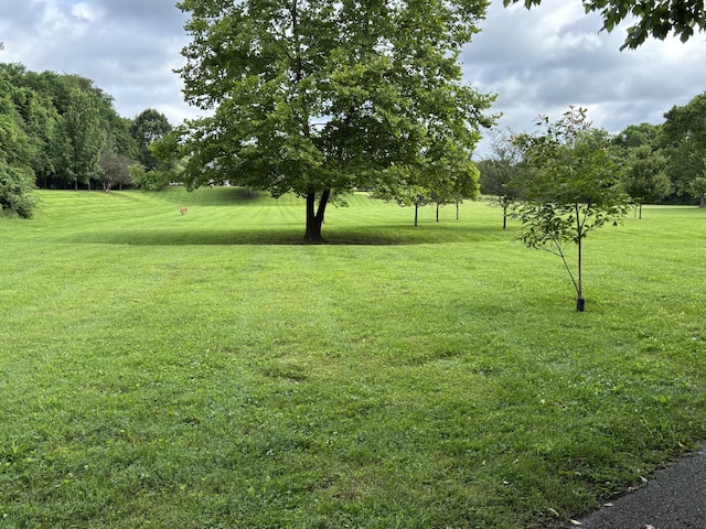 534 Ploughmans Bend Dr, Franklin, TN 37064 - photo 33