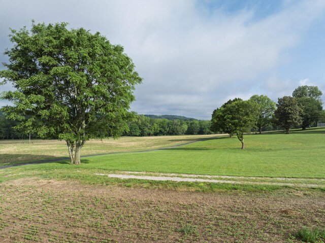 3307 Murphy Ln, Columbia, TN 38401 - photo 80