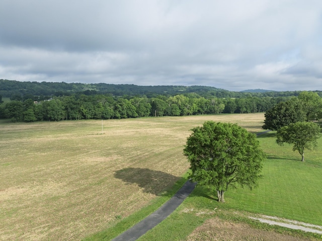 3307 Murphy Ln, Columbia, TN 38401 - photo 79