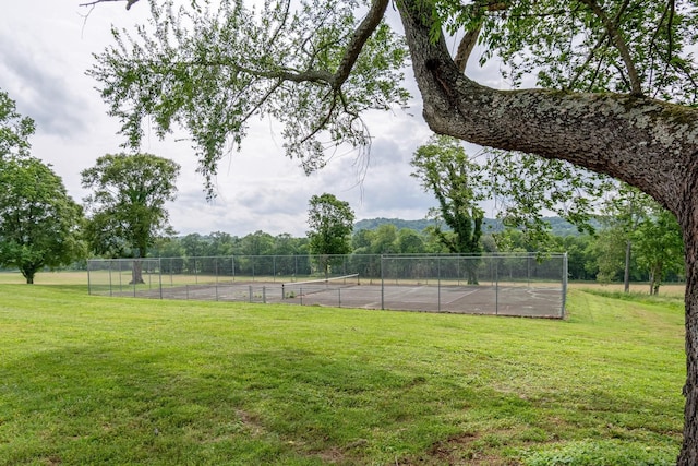 3307 Murphy Ln, Columbia, TN 38401 - photo 74