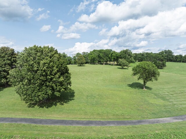 3307 Murphy Ln, Columbia, TN 38401 - photo 83