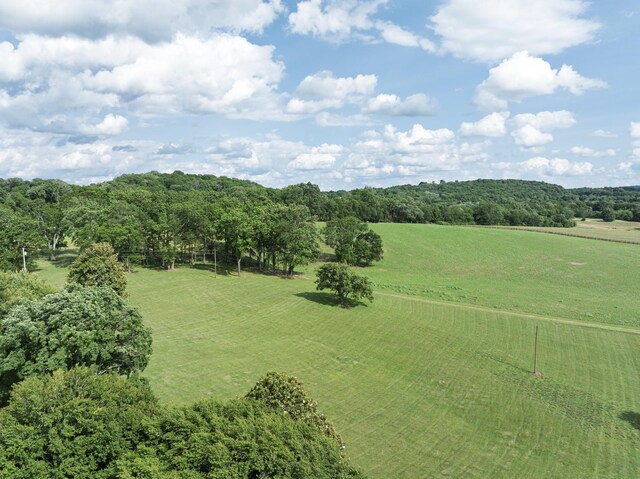 3307 Murphy Ln, Columbia, TN 38401 - photo 85