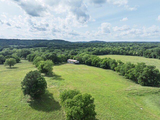 3307 Murphy Ln, Columbia, TN 38401 - photo 3
