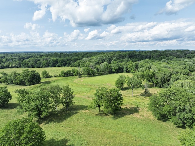 3307 Murphy Ln, Columbia, TN 38401 - photo 4