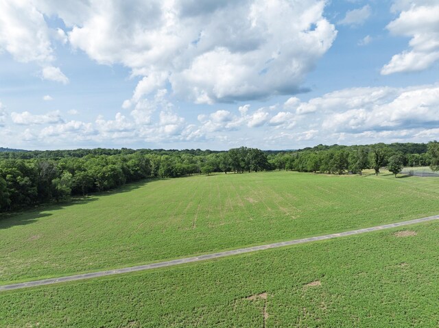 3307 Murphy Ln, Columbia, TN 38401 - photo 82