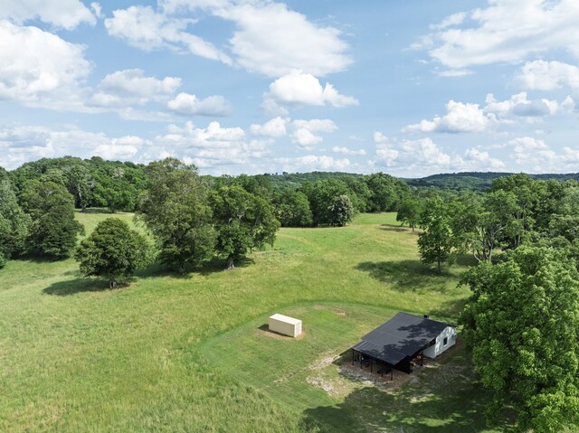 3307 Murphy Ln, Columbia, TN 38401 - photo 86