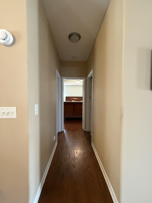 1602 Zurich Dr, Spring Hill, TN 37174 - hall featuring wood finished floors and baseboards