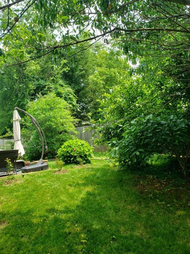 1602 Zurich Dr, Spring Hill, TN 37174 - view of yard