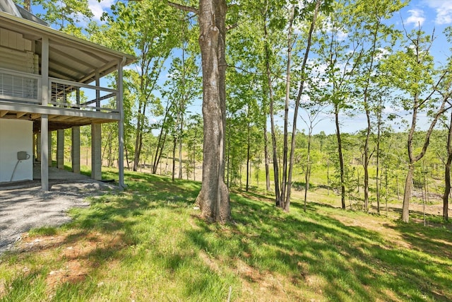 4221 New Hope Rd, Celina, TN 38551 - view of green lawn