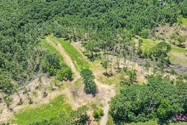 4221 New Hope Rd, Celina, TN 38551 - bird's eye view of a forest