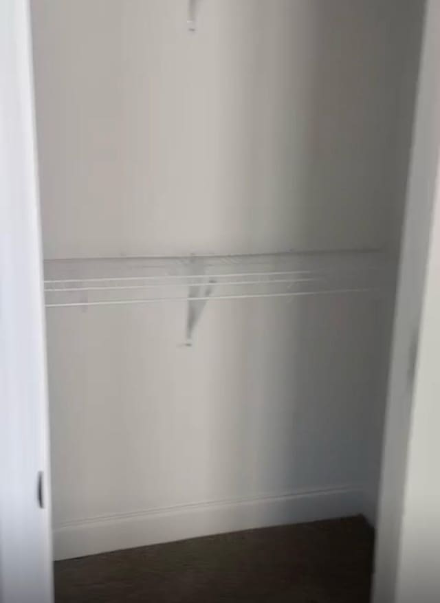 362 Baldwin Ln, Springfield, TN 37172 - view of closet