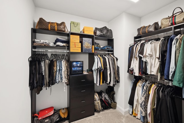 4337 Peacemill Ln, Murfreesboro, TN 37128 - walk in closet with carpet