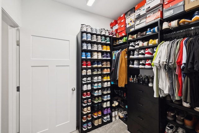 4337 Peacemill Ln, Murfreesboro, TN 37128 - walk in closet with carpet flooring