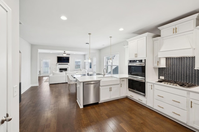 4337 Peacemill Ln, Murfreesboro, TN 37128 - kitchen with appliances with stainless steel finishes, open floor plan, a sink, a fireplace, and custom range hood