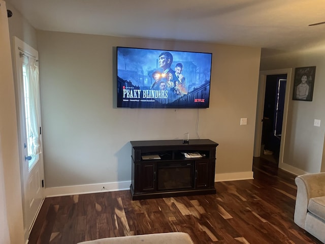 460 Armstrong Rd, Castalian Springs, TN 37031 - living area with dark wood-style floors and baseboards