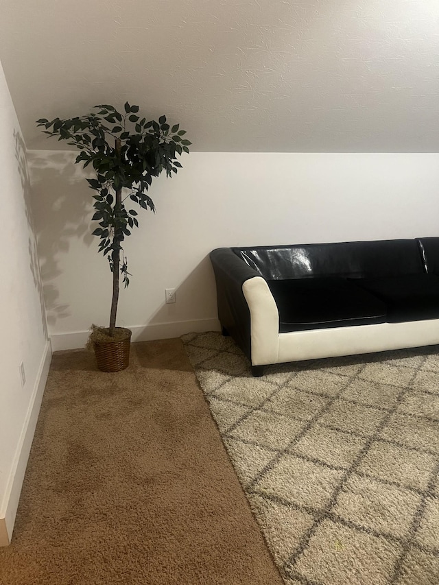 460 Armstrong Rd, Castalian Springs, TN 37031 - sitting room with carpet floors and baseboards