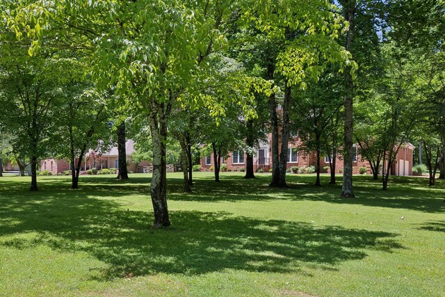 3208 Thoroughbred Dr, Hermitage, TN 37076 - photo 3