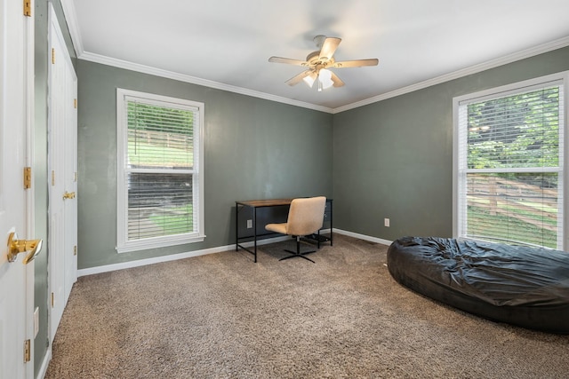 102 Mckinley Dr, Columbia, TN 38401 - office with carpet, ornamental molding, ceiling fan, and baseboards