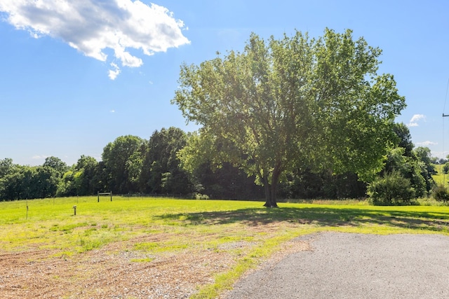 2890 Ellis Ln, Palmyra, TN 37142 - view of road featuring a view of countryside