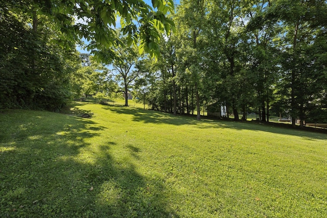 519 Glen Echo Dr, Old Hickory, TN 37138 - view of green lawn