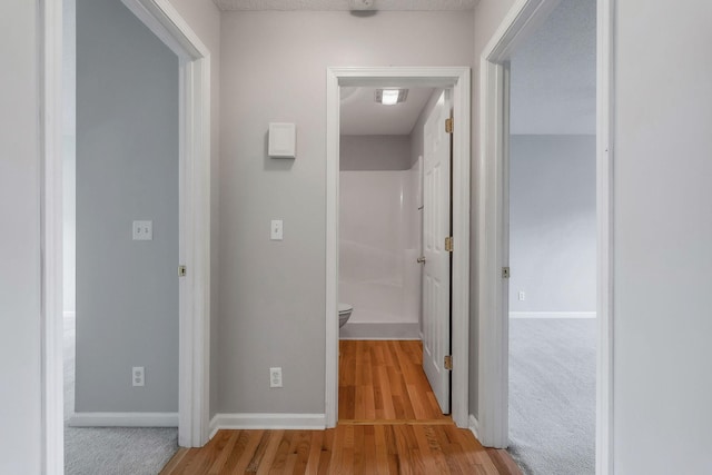 3408 Wj Robinson Rd, Cookeville, TN 38506 - hall with light wood-type flooring and baseboards