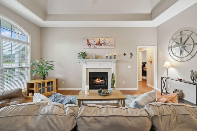3323 Troy Rd, Lebanon, TN 37087 - living area featuring wood finished floors, a premium fireplace, a towering ceiling, and baseboards