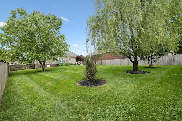 3323 Troy Rd, Lebanon, TN 37087 - view of yard