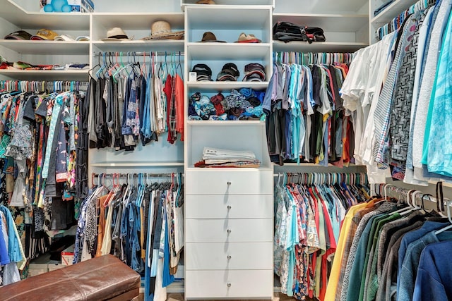 1161 Chloe Dr, Gallatin, TN 37066 - view of spacious closet