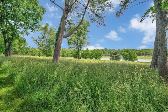 1161 Chloe Dr, Gallatin, TN 37066 - view of local wilderness with a nearby body of water