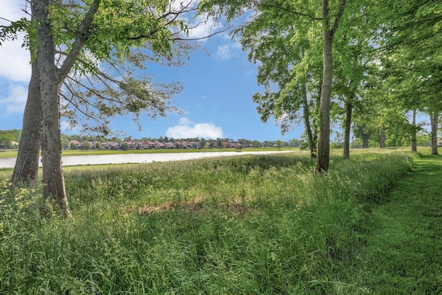 1161 Chloe Dr, Gallatin, TN 37066 - view of local wilderness featuring a large body of water