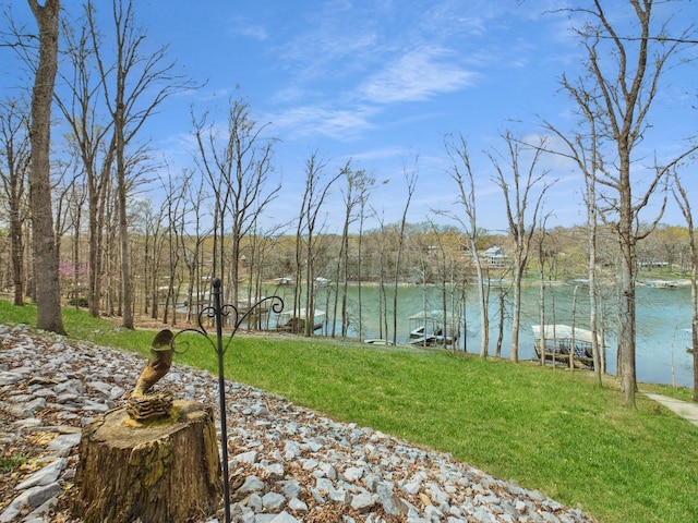 695 Bayshore Dr, Cadiz, KY 42211 - view of grassy yard with a water view