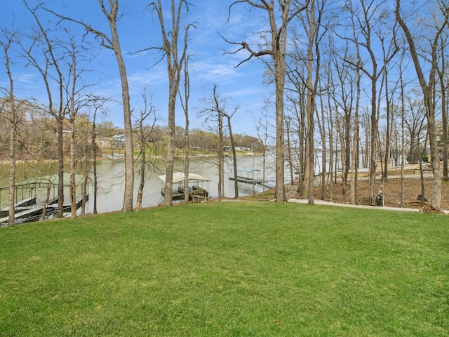 695 Bayshore Dr, Cadiz, KY 42211 - view of green lawn featuring a water view and a boat dock