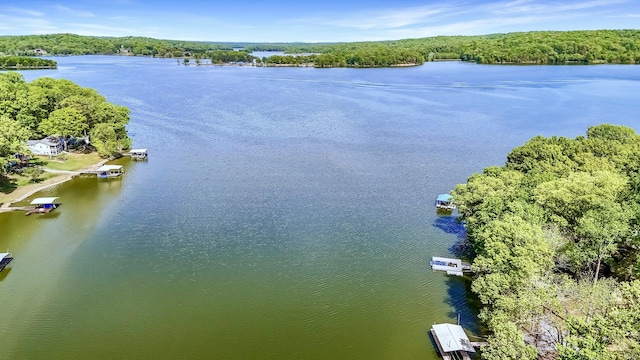 695 Bayshore Dr, Cadiz, KY 42211 - aerial view of a nearby body of water and a forest