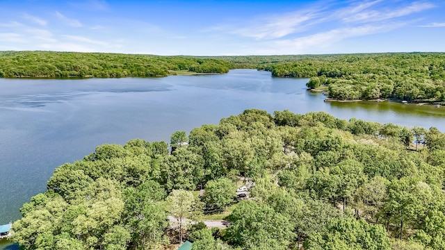 695 Bayshore Dr, Cadiz, KY 42211 - drone / aerial view of a heavily wooded area and a large body of water