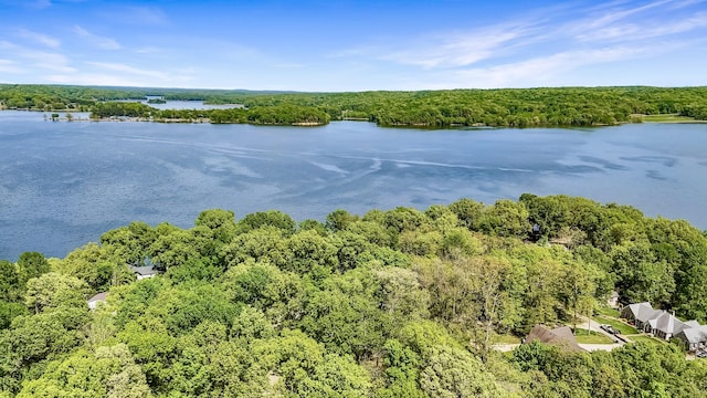 695 Bayshore Dr, Cadiz, KY 42211 - drone / aerial view of a forest and a nearby body of water