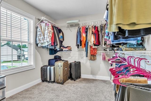 1928 Sydney Louise Dr, Clarksville, TN 37042 - walk in closet featuring carpet flooring