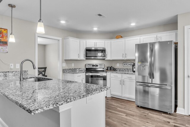1928 Sydney Louise Dr, Clarksville, TN 37042 - kitchen featuring stainless steel appliances, a sink, white cabinetry, a peninsula, and light stone counters