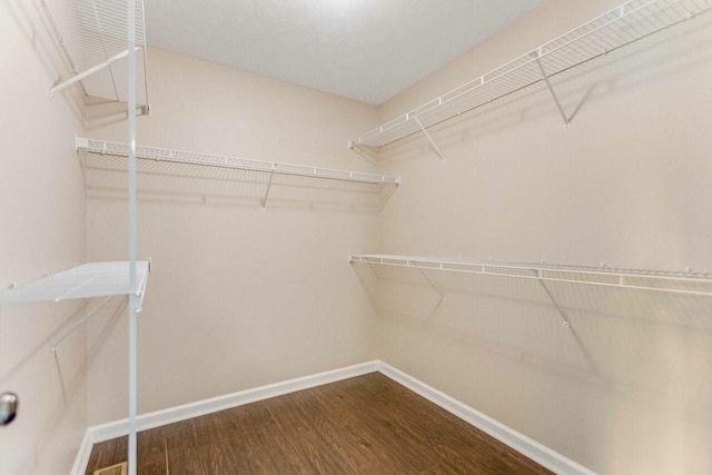 991 Wing Tip Cir, Hopkinsville, KY 42240 - spacious closet with wood finished floors
