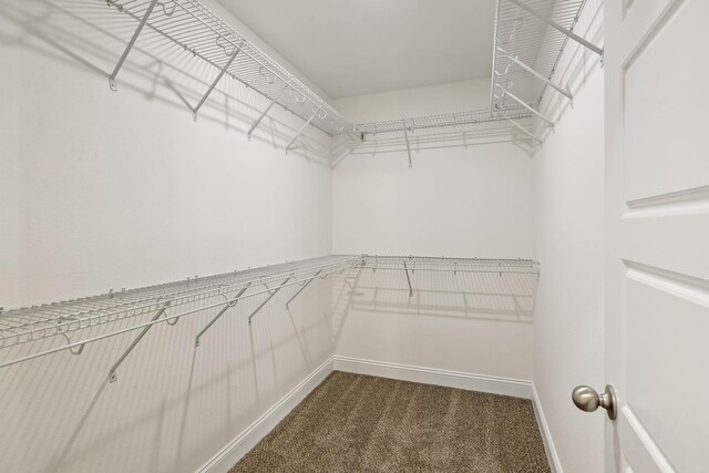 1271 Racker Dr, Clarksville, TN 37043 - spacious closet featuring dark colored carpet