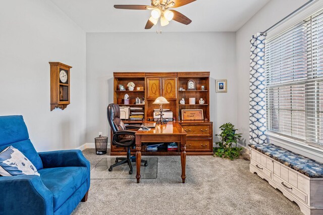 305 Redding Ct, Nolensville, TN 37135 - photo 25