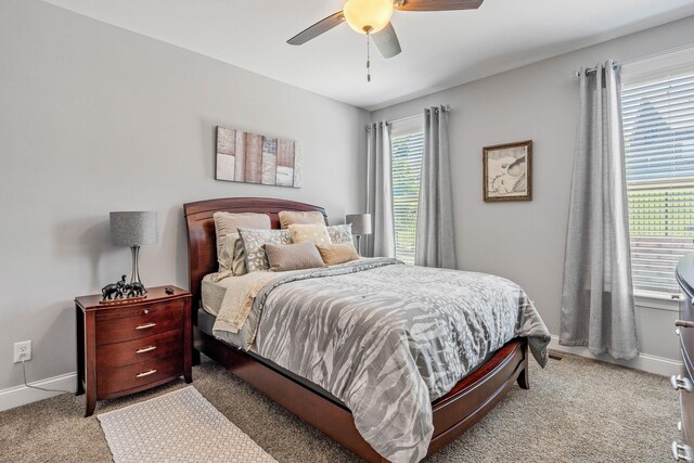 305 Redding Ct, Nolensville, TN 37135 - photo 37